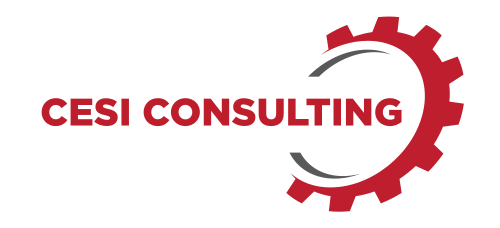 Cesi Consulting